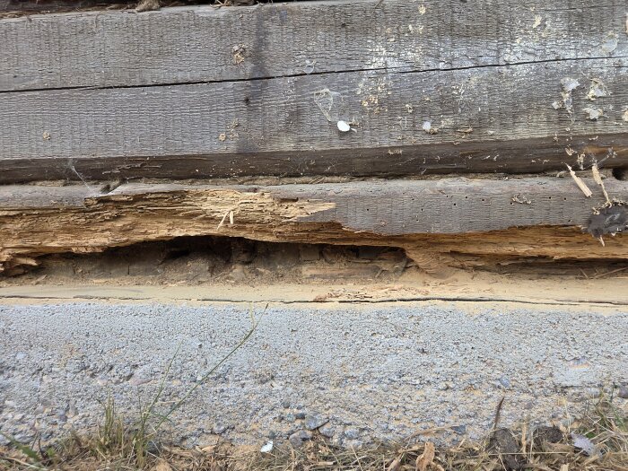Rötskadad syllstock i fritidshus, synlig skada i träet ovan betonggrund.