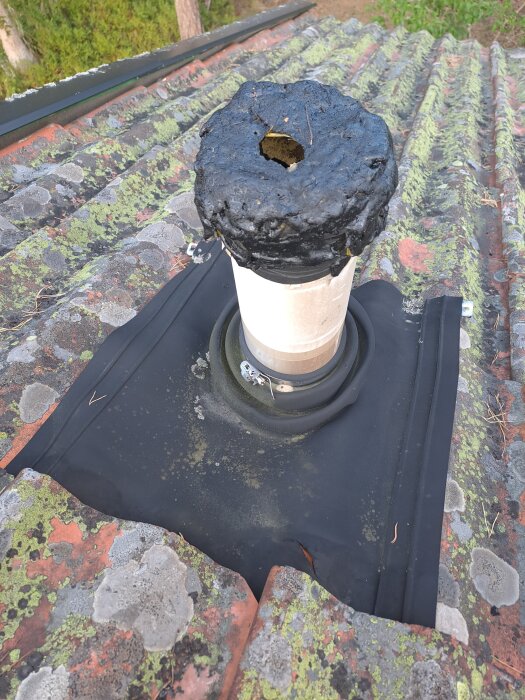 Ventilationsrör på tak, med svart kletig massa ovanpå utan huva, omgiven av mossa och lav på takpannor.