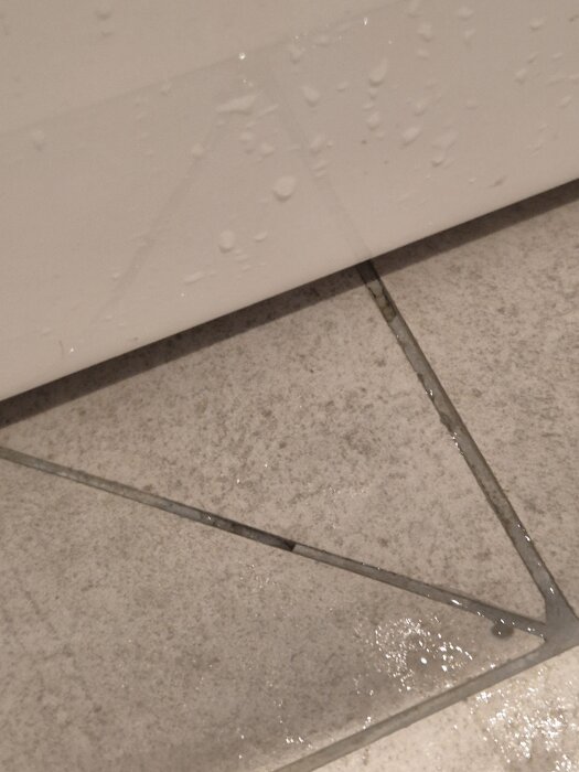 Fuktigt badrumsgolv med mörka fläckar i fogarna och vattendroppar på en vit yta ovanför.