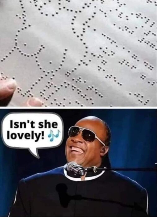 En person läser en punktskriftsbild som föreställer en kvinna; nedan har en person solglasögon och säger "Isn't she lovely" med musiknoter.