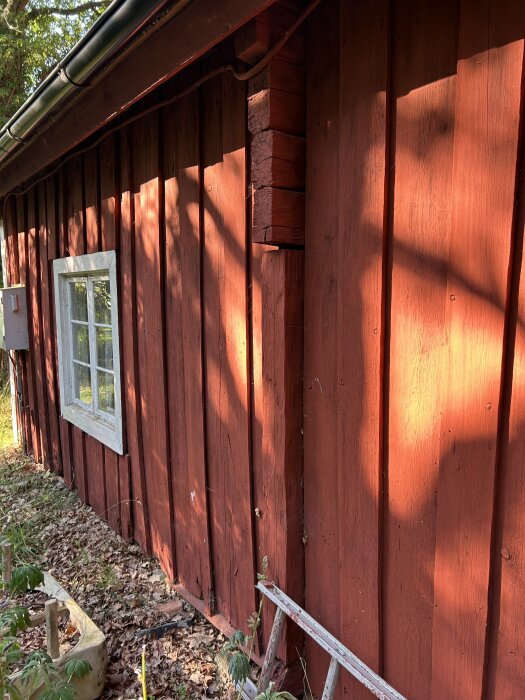 Rött träfasadhus med vitt fönster, mark och stege framför. Väggkapning synlig på vinden.
