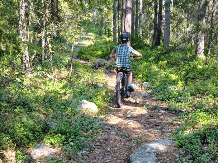 Barn cyklar på stig i skog.