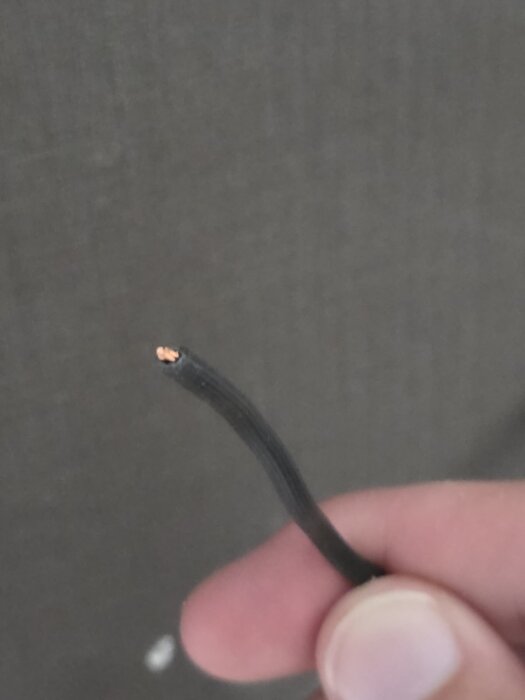 En hand håller i en svart kabel med kopparledare synlig i änden mot en suddig bakgrund.