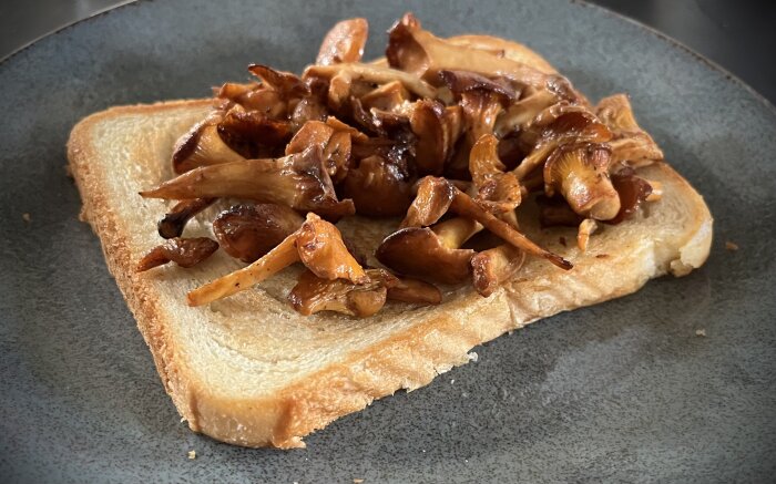 Kantareller på en skiva rostat bröd, serverad som förrätt.