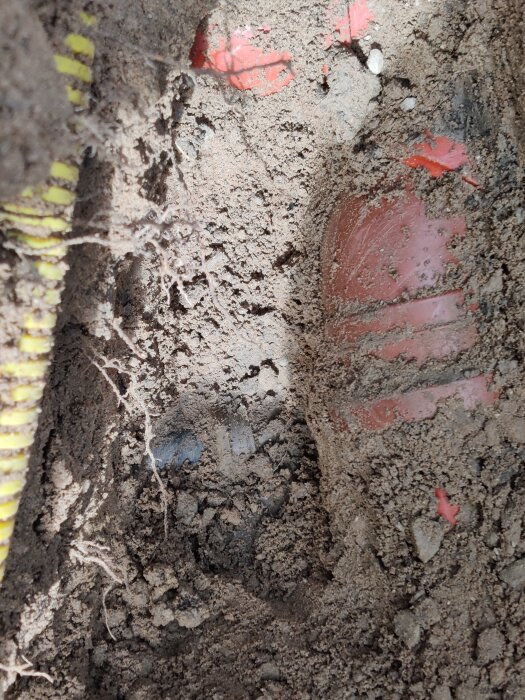 Bild av utgrävd jord där plaströr är synliga, vilket visar en vattenledningsskarv och avloppsrör med omgivande rötter och jord.