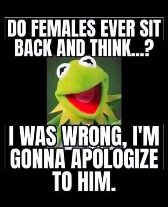 Aporrigt meme med en känd grön puppetskuggfigur, text om kvinnor som erkänner fel och ber om ursäkt.