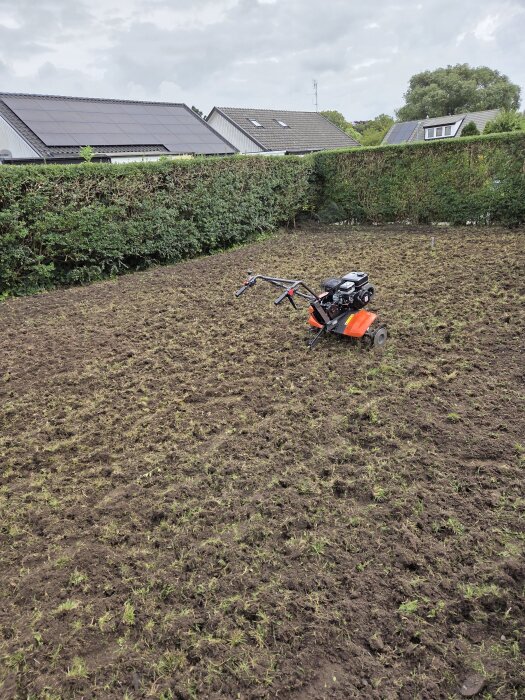Trädgård med uppfräst jord och en jordfräs i förgrunden, omgiven av häckar och hus i bakgrunden.