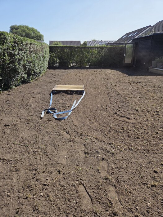Nyfresad jordplätt i trädgård med ett trägelement och en blå rem, omgiven av häckar och hus i bakgrunden, redo för grässådd.