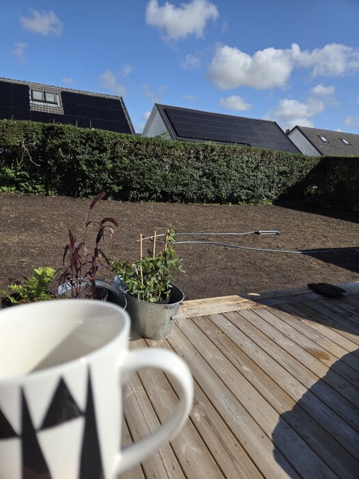 Kaffe på en altan framför en nyfräst jordplätt med planterade växter och hus i bakgrunden, en klar blå himmel ovanför.