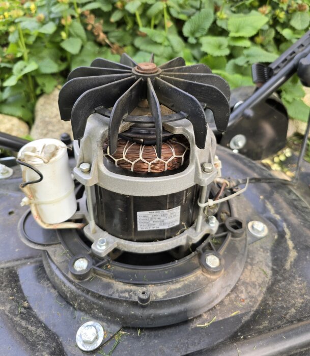 Närbild av inre mekanismen i en äldre Stiga Multiclip elgräsklippare, visar bromsskiva, kopparspole och detaljerade komponenter.