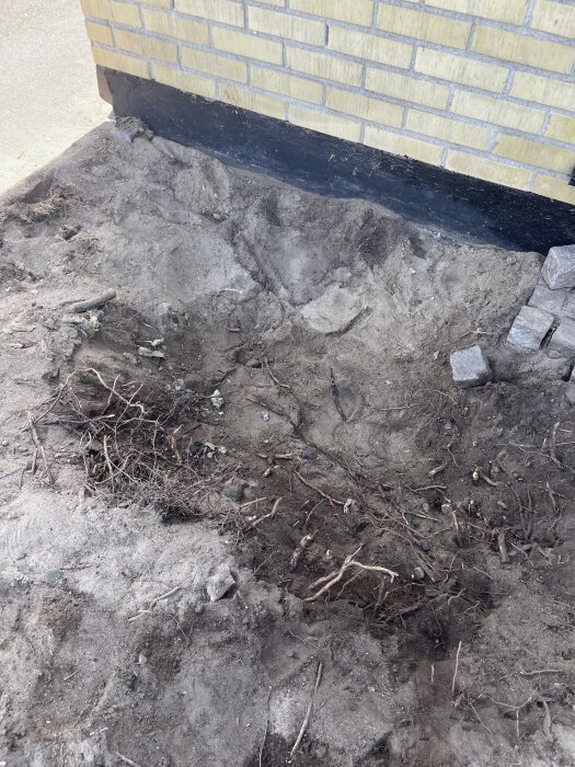 En grop nära ett hus gjort av gult tegel där ett träd nyligen har tagits bort, med synliga rötter och jord runt omkring.