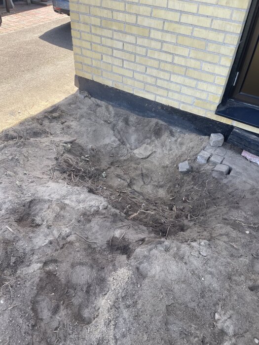 Markområde med ett hål nära ett hus med gul tegelfasad, där ett träd har tagits bort.
