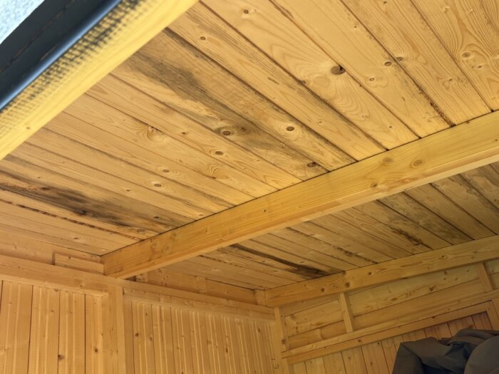 Innertak av trä i skjul med svarta missfärgningar tyder på mögel, delvis på bjälkar och panel. Solupplyst träkonstruktion syns ovanifrån.