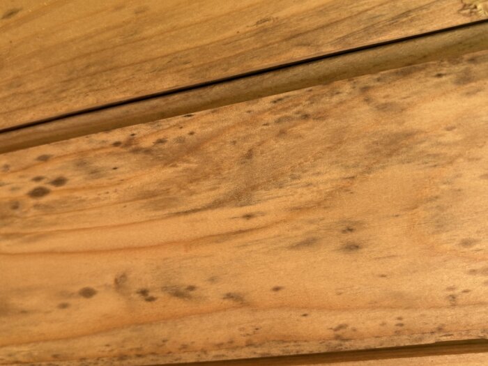 Närbild av innertak med svarta missfärgningar på träytan, misstänkt mögel enligt beskrivning.