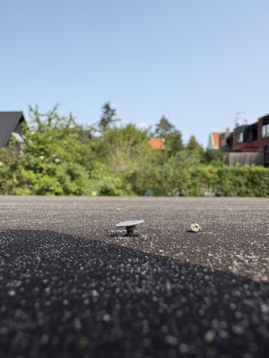 Spik som sticker upp från ett tak täckt med svart takpapp, omgiven av en trädgård och intilliggande hus i bakgrunden.