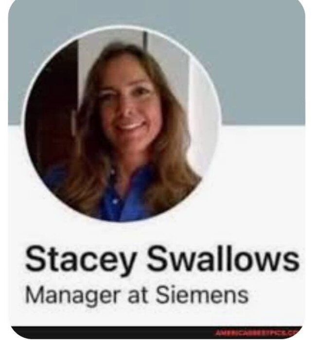 Bilden visar en profilbild av en kvinna med brunt hår. Under bilden står "Manager at Siemens".