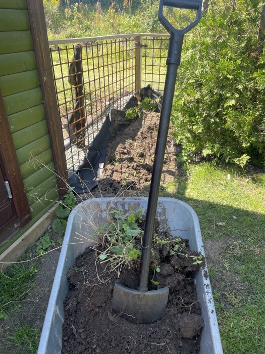 Utomhusbild med spade i skottkärra framför nyligen byggt staket. Grönskande bakgrund och husvägg syns.