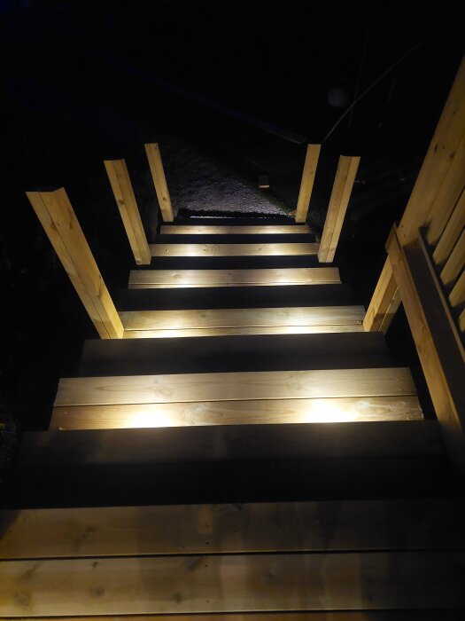 Trappa med trappsteg i trä, upplyst av inbyggda spotlights i vartannat steg på natten.