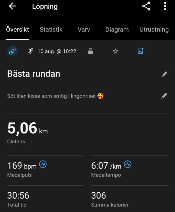 Löpningsappskärm som visar en sträcka på 5,06 km, med medelpuls 169 bpm, medeltempo 6:07 min/km, total tid 30:56 och 306 kalorier förbrukade.