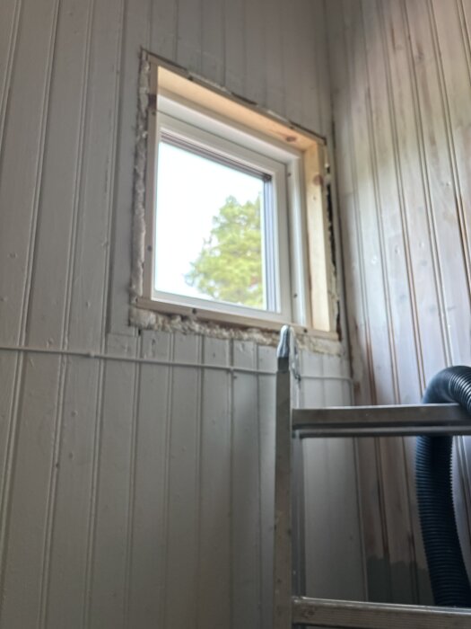 Byte av fönster i trävägg, stege står lutad mot väggen.