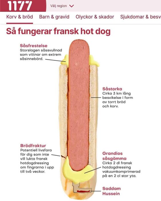 Illustration av en fransk hot dog med beskrivande texter: såssvällnad, brödfraktur, såstorka och såsgömma.