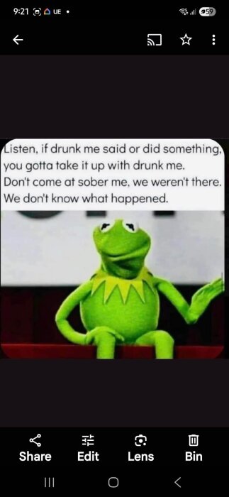 Grodan sitter avslappnat med hand upplyft och text ovan lyder: ”Listen, if drunk me said or did something, you gotta take it up with drunk me.”