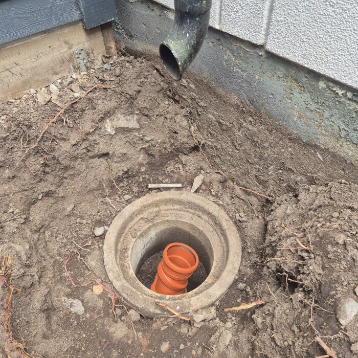 Dagvattenbrunn med synligt cementrör och ett orange plaströr inuti, omgiven av jord och växtrötter. En avtappningsrör syns vid väggen.