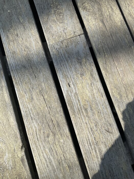 Slitet altangolv med alger och mossa, delvis behandlat med avnött pigmenterad olja. Skuggor på träplankorna.