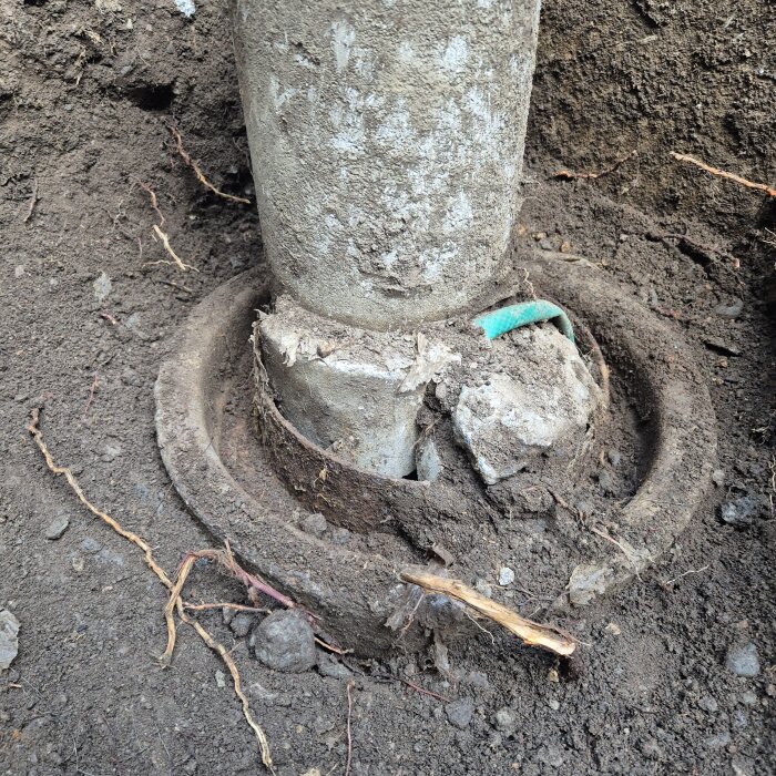 Betongpelare omgiven av jord och rötter, med en skadad ring runt basen. Synlig turkos plastdetalj i närheten.