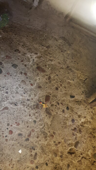 Grovt cementgolv med stenar och skräp i en källare; möjligtvis fuktigt, relaterat till dräneringsproblem och trasigt avlopp.