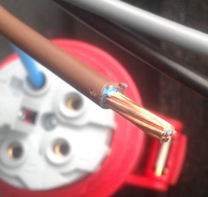 Brun kabel med blå ledare och koppartrådar, nära en röd bakgrund, möjlig kopplingsanordning.