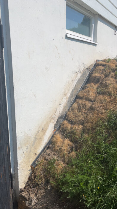 Vägg med skador vid marken och angränsande torkat gräs, letar renoveringstips.