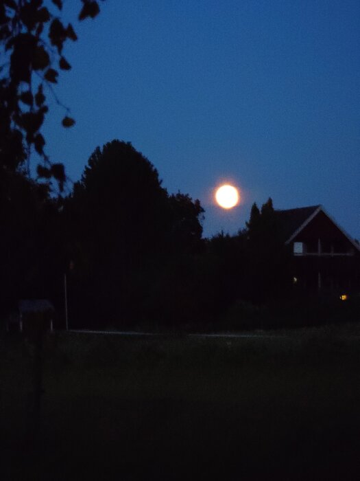 20250811_215823617.JPG