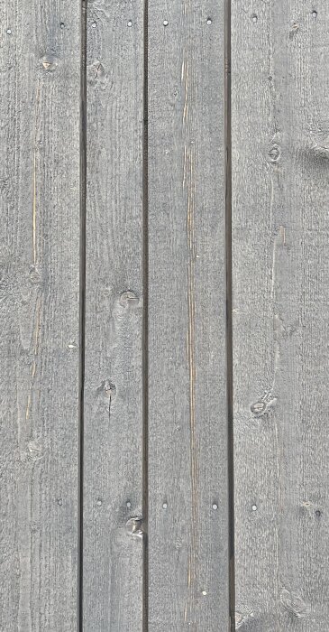 Grå träpanel målad med lasyr, visar ett väderbitet utseende med spikar synliga längs brädorna.