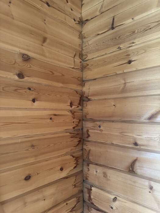 Träpanel på innervägg i hörn av friggebod med vattenskador och mörka fläckar.