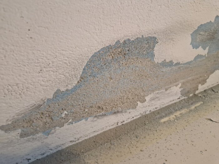 Vägg med avflagning, bubblor och skador i färgen syns, delvis bortslipad med stålborste. Fläck där plastunderlägg stått mot väggen.