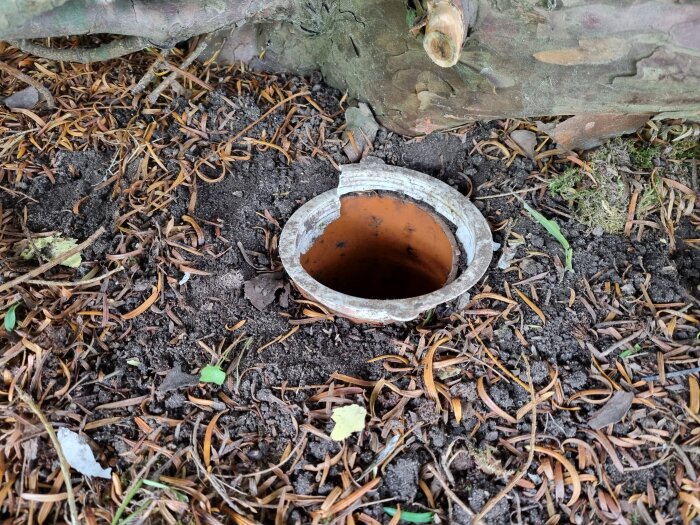 En öppen spolbrunn i en trädgård med trasigt lock, omgiven av jord och löv.