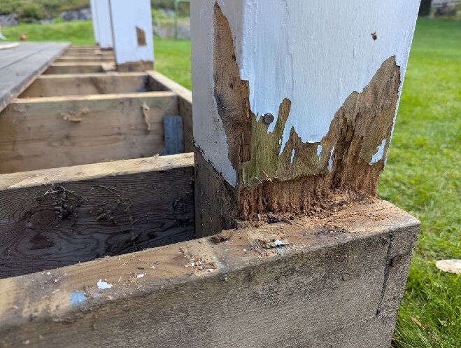 Ruttna balkongstolpar med avflagnad färg, synliga träskador och jordnära placering. Gräsmark i bakgrunden.