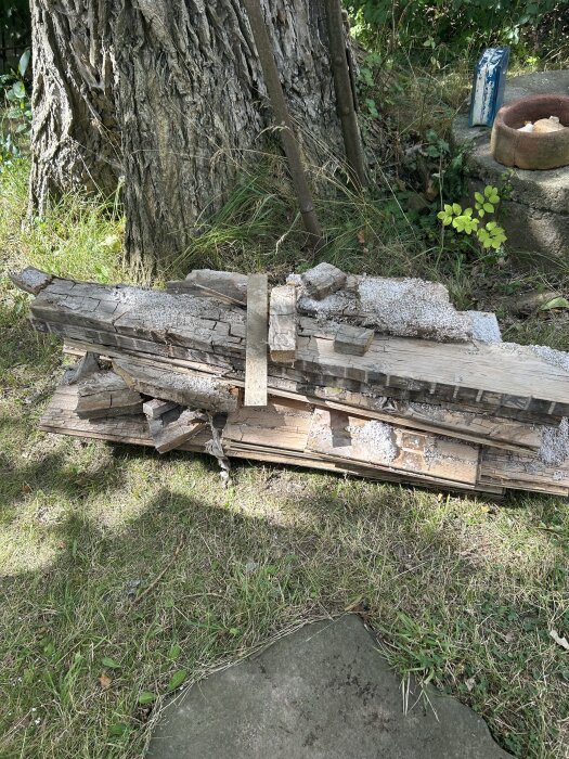 Fuktiga träreglar med perlite står utomhus på en träpall framför ett träd och grönska.