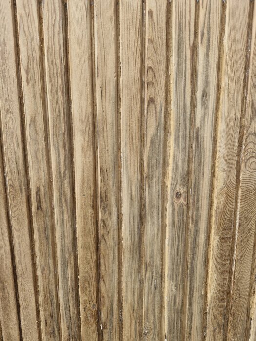 Träpanel med vertikala brädor från gammal garageport, visar träslag och mönster, möjligtvis från år 1953.