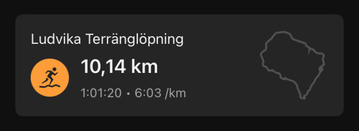 Ludvika terränglöpning, distans 10,14 km, tid 1:01:20, tempo 6:03 per km, visar kartgrafik och löparikon.