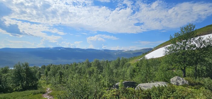Vy över berg och dalar i Ammarnäs med grönska och snöfält under en klarblå himmel.