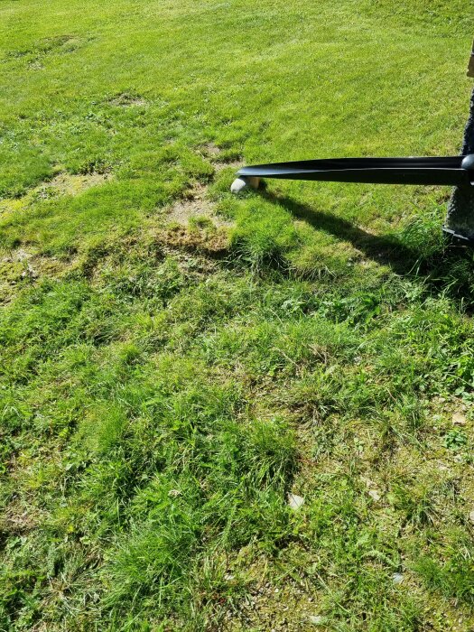 Oregelbunden gräsmatta med fläckar av jord och sten, samt ett synligt rör, under solig dag.