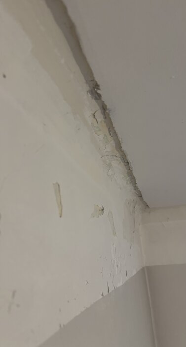 Färgflagning vid övergången mellan tak och vägg, visar sprucken färg som håller på att släppa på grund av tidigare målningsarbeten.