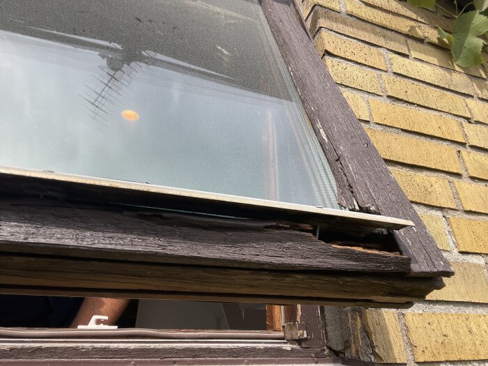 Slitet fönster med skadat trä, syns delvis öppet från utsidan på tegelvägg, antennreflektion i glaset.