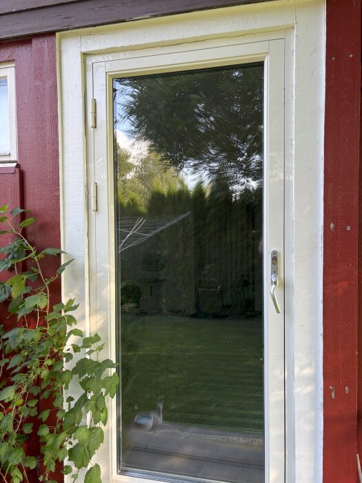 Helglasad ytterdörr med synliga gångjärn och handtag. Dörren är utåt öppnande och omgiven av en röd fasad med växt vid sidan.