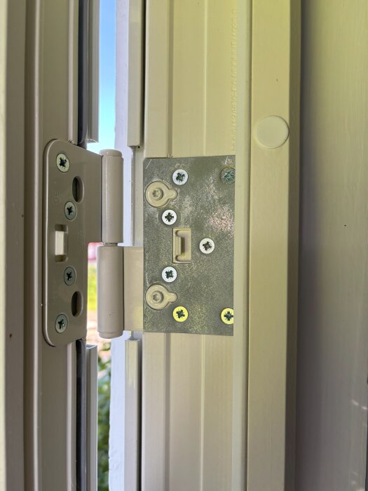 Gångjärn på en helglasad dörr, skruvar synliga, beläget på dörrkarmen. Problem med hängande dörr och justering av gångjärnen.