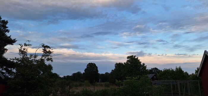 Vy över en trädgård i solnedgång med träd och en kvällshimmel fylld av moln i bakgrunden, samt delar av en byggnad synlig.