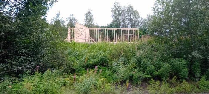 Träd inramar stommen av en byggnation som har rests mitt i en grön skogsdunge.