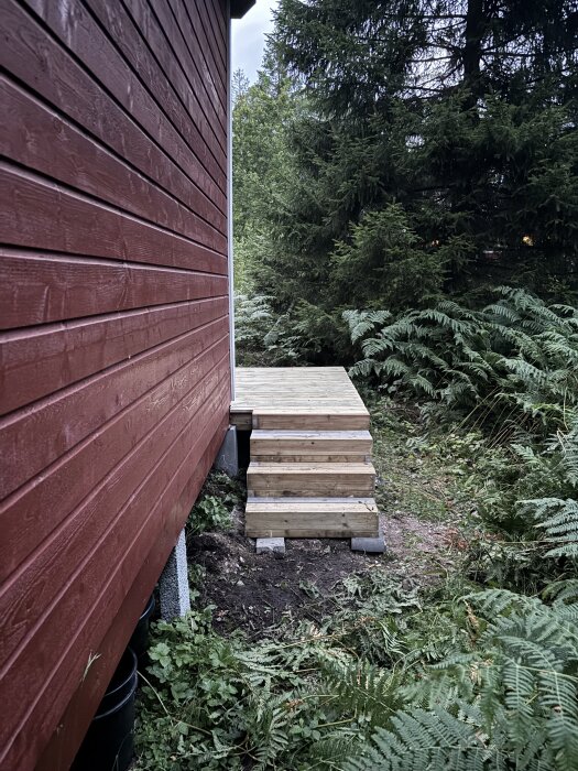 Litet trädäck med trappa vid röd fasad i skogsmiljö, byggt för fritidshus som ska bli permanent boende.